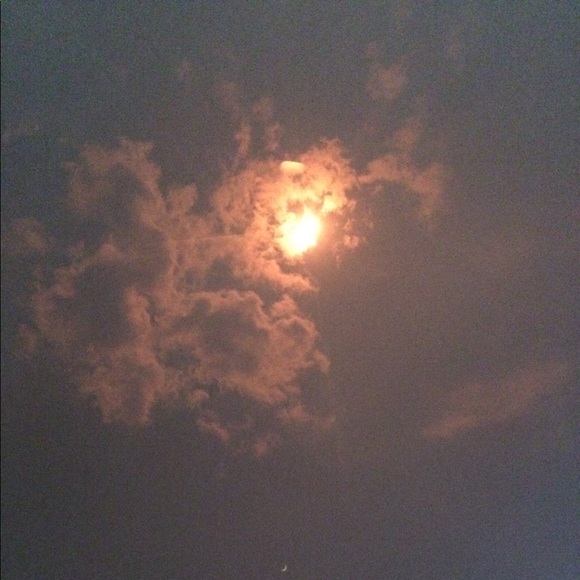 Meet your Posher, Taylor - Picture 1 of 1